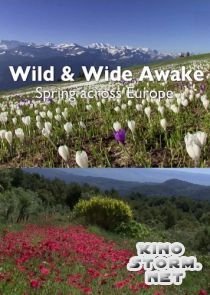 Пробуждение дикой природы - европейская весна (2015)
