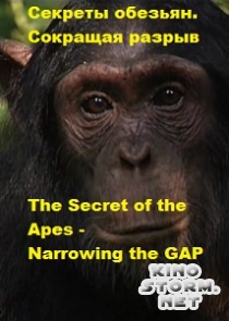 Секреты обезьян. Сокращая разрыв (2013)