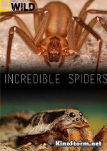 National Geographic. Удивительные пауки (2015)