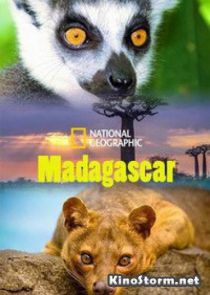 National Geographic. Мадагаскар: Легенда острова лемуров (2015)