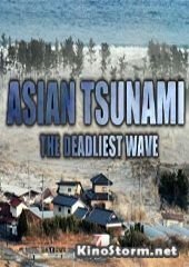 Азиатские цунами: Смертельная волна (2014)