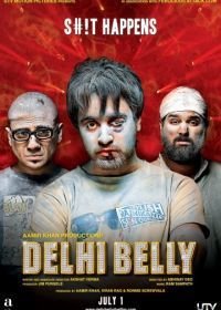 Однажды в Дели (2011)