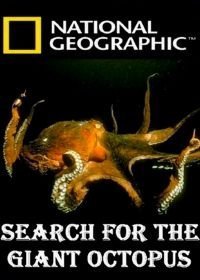 National Geographic. В поисках гигантского осьминога (2009)