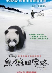 След панды (2009)