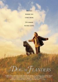 Фландрийский пес (1999)