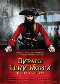 Пираты семи морей: Черная борода (2006)