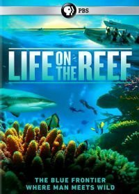 National Geographic. Жизнь на Большом Барьерном рифе (2014)