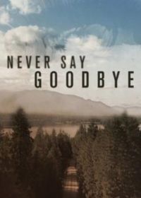Никогда не говори "прощай" (2019)