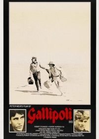 Галлиполи (1981)