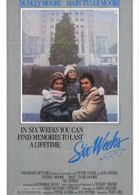 Шесть недель (1982)