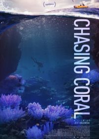 В поисках кораллов (2017)
