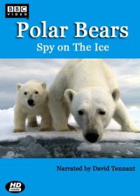 BBC. Белый медведь: Шпион во льдах (2011)