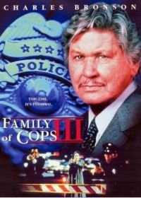 Семья полицейских 3: Новое расследование (1999)