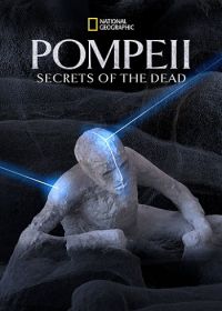 Помпеи: Тайны мёртвых (2019)