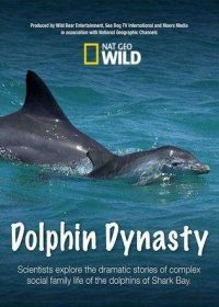 Династия дельфинов (2016)