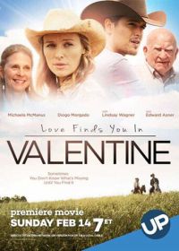 Любовь найдёт тебя в Валентайне (2016)