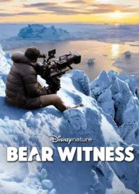 Наблюдение за медведем (2022)