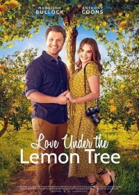 Любовь под лимонным деревом (2022)