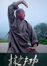 Кунг-фу и шаолиньские монахи (2015)