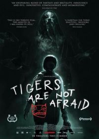 Тигры не боятся (2017)