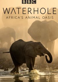 BBC. Водопой: Африканский Оазис для Животных (2020)
