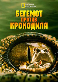 Бегемот против крокодила (2014)