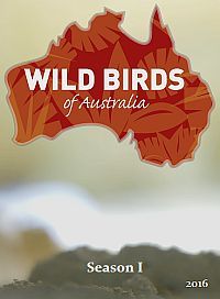 Дикие птицы Австралии (2016)