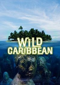 Дикая природа Карибских островов (2018)