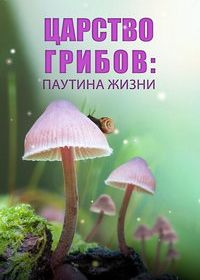 Царство грибов: Паутина жизни (2023)