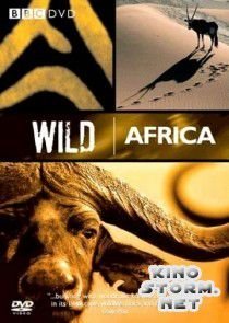 BBC: Дикая Африка (2001)