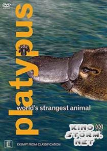 ABC Самое необычное животное в мире. Утконос (2003)