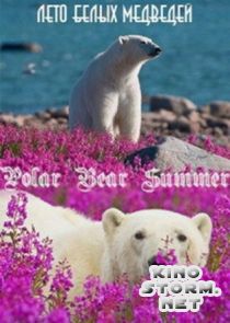 Лето белых медведей  (2015)