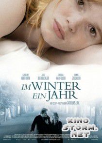 Зимой будет год (2008)