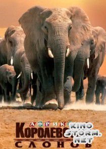 Африка – королевство слонов (1998)