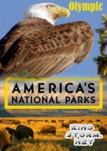 Национальные парки Америки. Олимпик (2015)