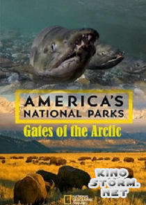National Geographic. Национальные парки Америки. Арктические врата (2015)