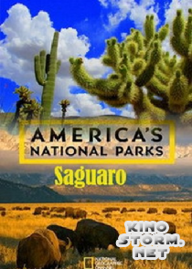 National Geographic. Национальные парки Америки. Сагуаро (2015)