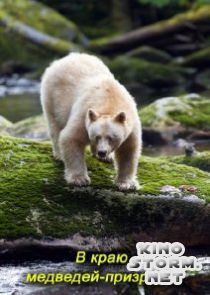 National Geographic. В краю медведей-призраков (2012)
