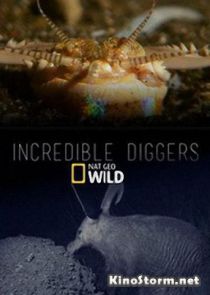 National Geographic. Удивительные копатели (2015)