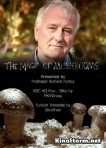 BBC: Магия грибов (Тайная жизнь грибов) (2014)