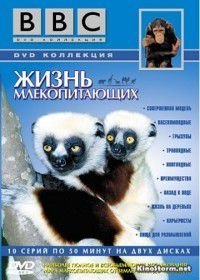 BBC: Жизнь млекопитающих (2002)