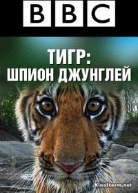 BBC: Тигр – Шпион джунглей (2008)