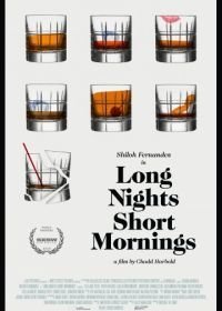 Длинная ночь, короткое утро (2016)