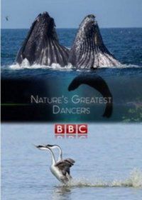 BBC. Танцы дикой природы (2015)