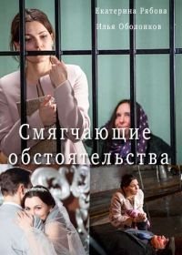 Смягчающие обстоятельства (2017)