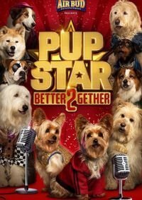 Звездный щенок: Вместе быть лучше (2017)