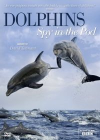 BBC: Дельфины скрытой камерой (2014)