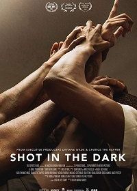 Выстрел в темноте (2017)