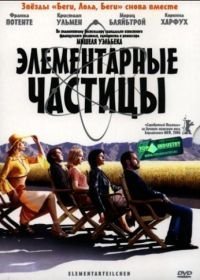 Элементарные частицы (2006)