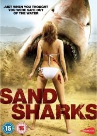 Песчаные акулы (2012)